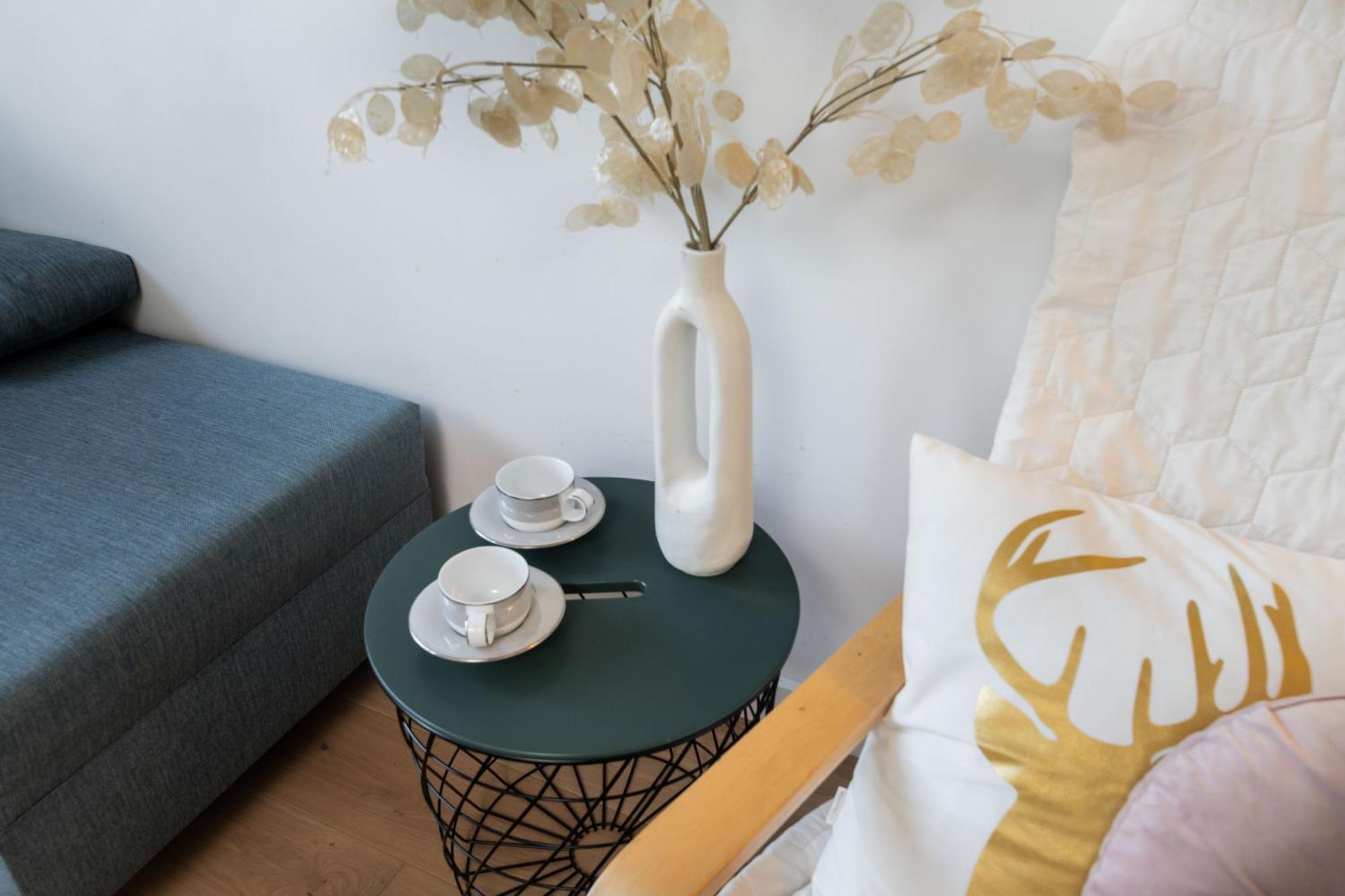 Chopin Apartment Lazienki Park Warsaw Ngoại thất bức ảnh
